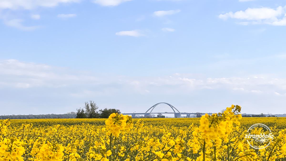 Fehmarn2024-23 5 Tage Fehmarn