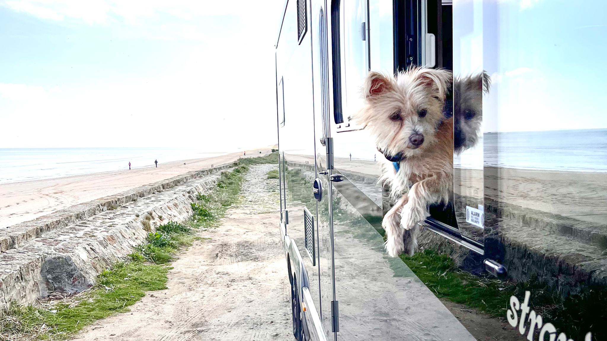 Hund_im_Arto-001 Auf 6 Rädern mit 4 Pfoten