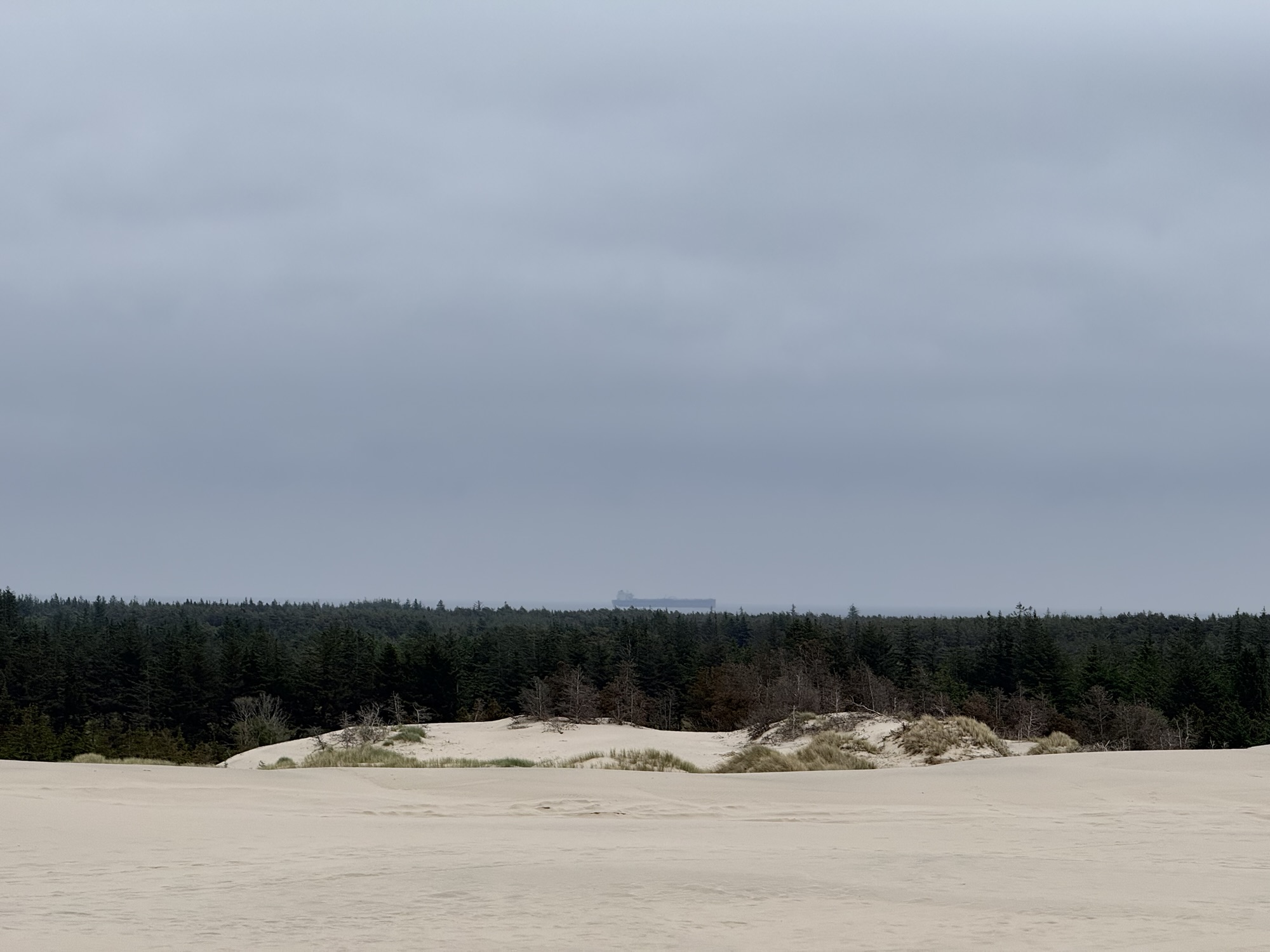 Dünen-Challenge: Råbjerg Mile & Skagen Sydstrand